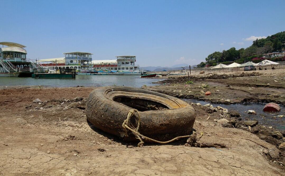 Estado de México suma 2 mil 241 casos confirmados de dengue en lo que va del año / Foto: Alejandro Vargas