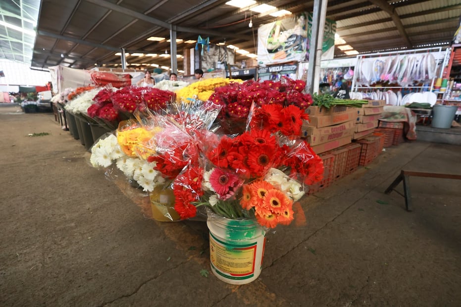 La llamada "Romería" del 14 de febrero es la tercera fecha más importante para los floricultores mexiquenses. Foto Alejandro Vargas / El Universal