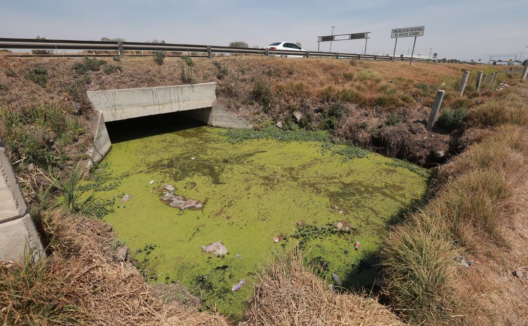 El Río Lerma, un foco de preocupación para los habitantes de la colonia Guadalupe la Ciénega. Foto: Alejandro Vargas