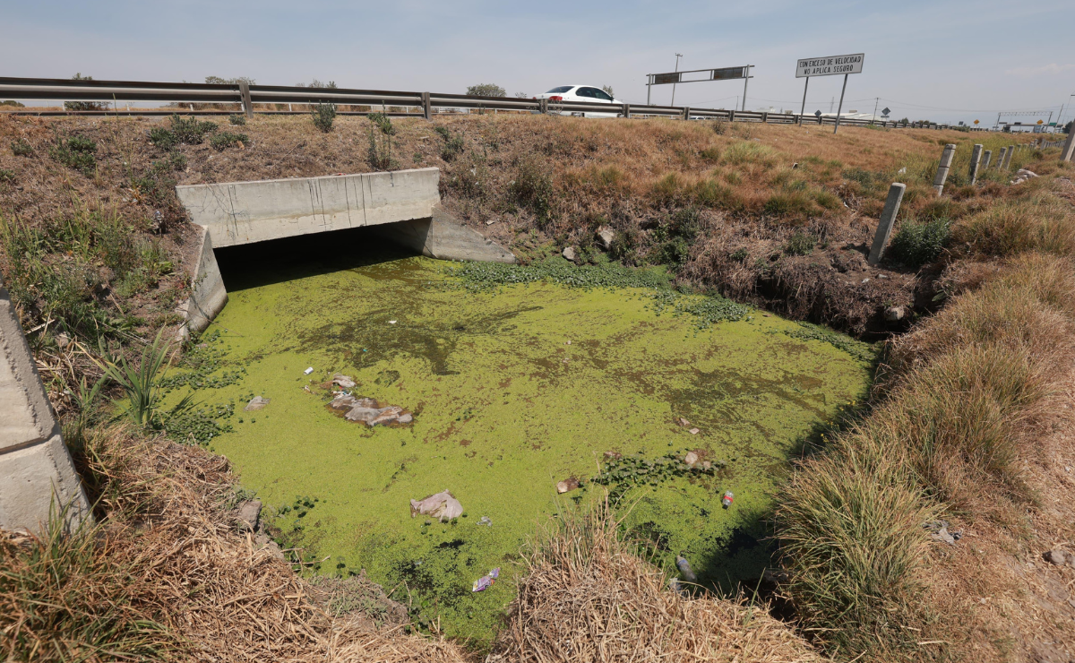 El Río Lerma, un foco de preocupación para los habitantes de la colonia Guadalupe la Ciénega. Foto: Alejandro Vargas