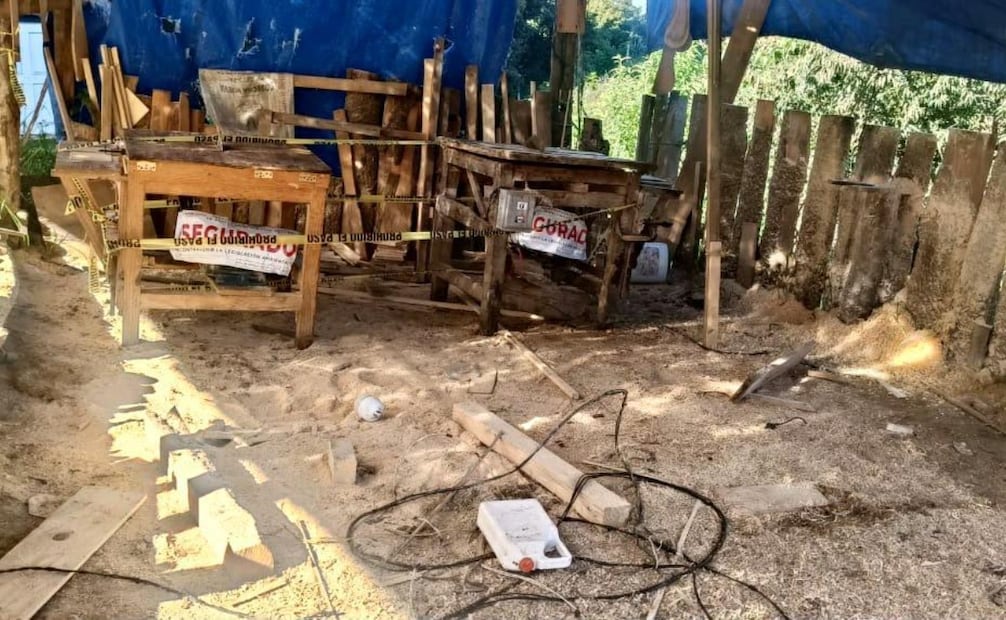 Autoridades aseguraron madera de pino y maquinaria durante las inspecciones en San Juan Atzingo. Foto especial