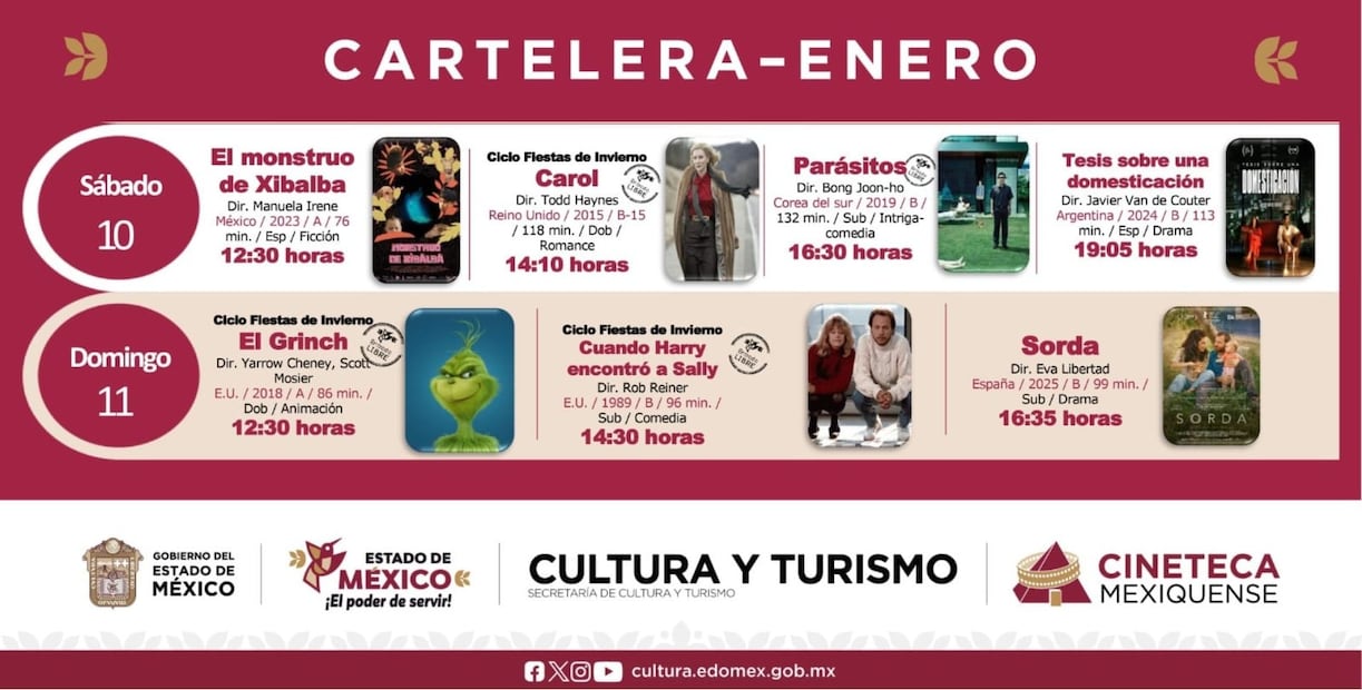 Además de los grandes estrenos, cintas como "Carol" y "Tesis sobre una domesticación" completan la oferta cultural sabatina. Foto Especial