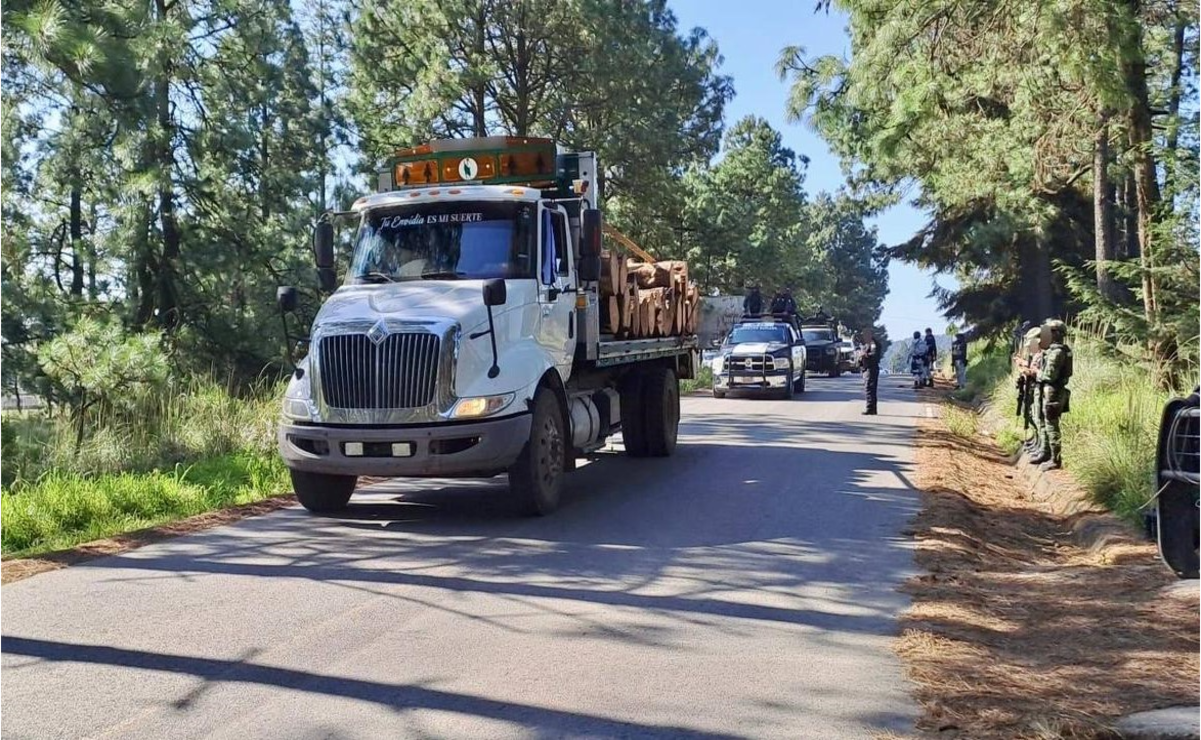 Se resguardaron dos camiones tipo torton con aproximadamente 12 metros cúbicos de madera en rollo. Foto: Especial