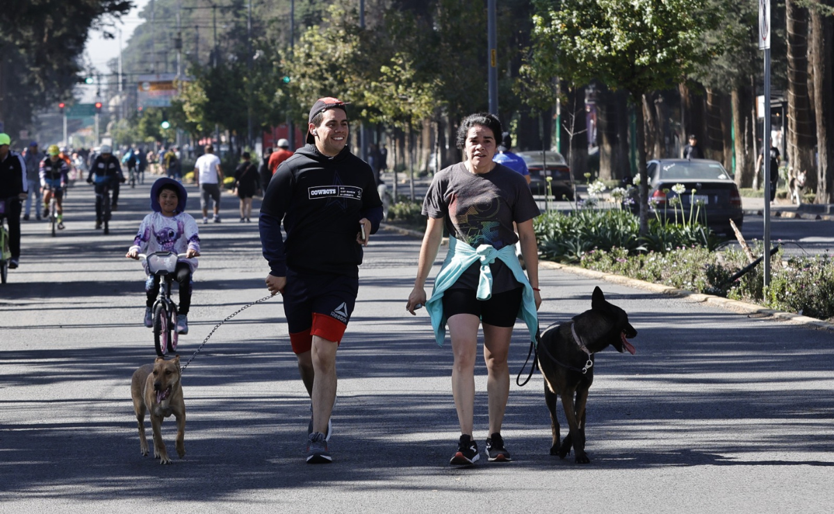 Yoga, café y tu perro. ¡El plan perfecto para un domingo de relax y diversión en Toluca! Foto. Jorge Alvarado