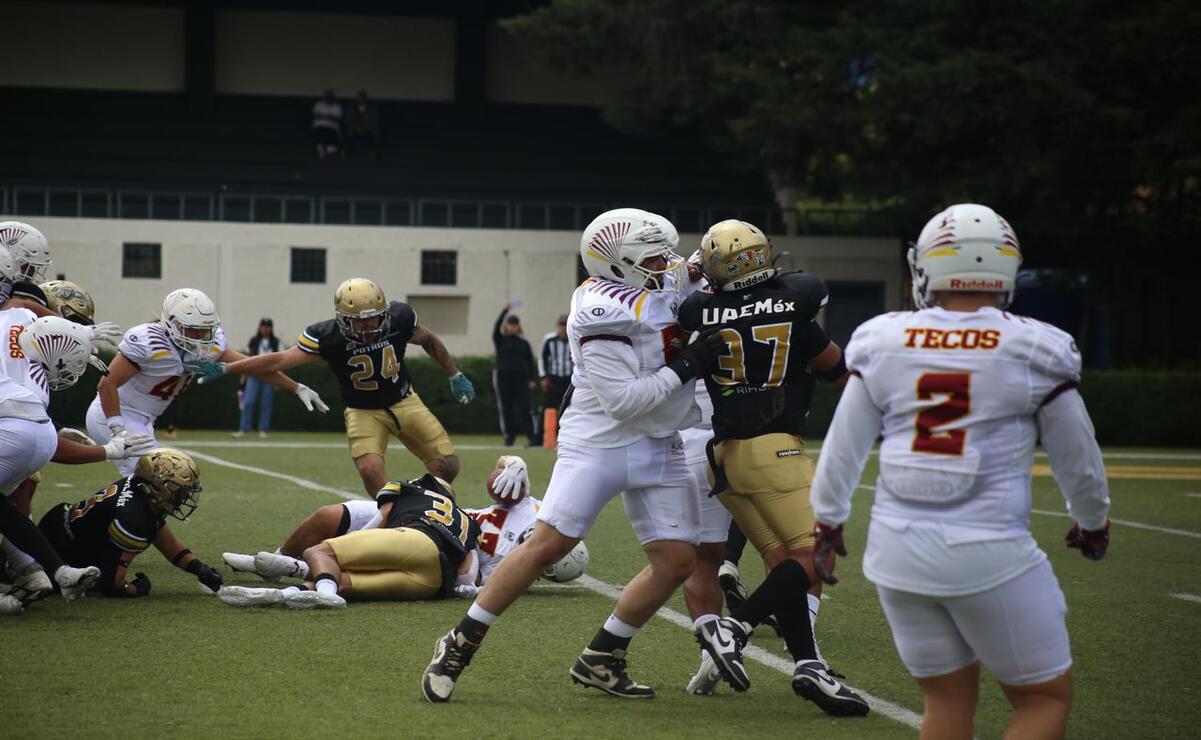 Los Potros Salvajes son líderes del Grupo Centro de la Conferencia Nacional de Liga Mayor con cuatro victorias (4-0). Foto: Especial