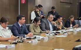 Edomex aprueba nueva Ley de Bienestar Animal: Cárcel por maltrato y Registro Único de Mascotas