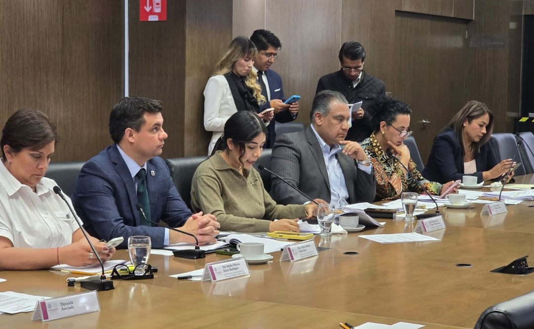 Comisiones unidas aprueban 17 iniciativas para crear la Ley de Protección, Cuidado y Bienestar Animal. Foto Especial