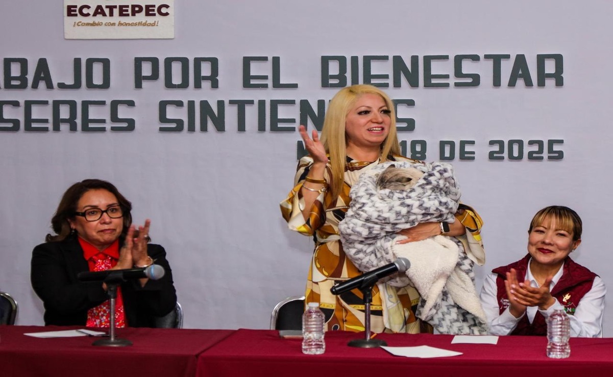 En la mesa de trabajo participaron Alma Tapia Maya, directora general de la Cepanaf; Azucena Cisneros Coss, presidenta Municipal de Ecatepec, y organizaciones protectoras de animales. Foto: Especial