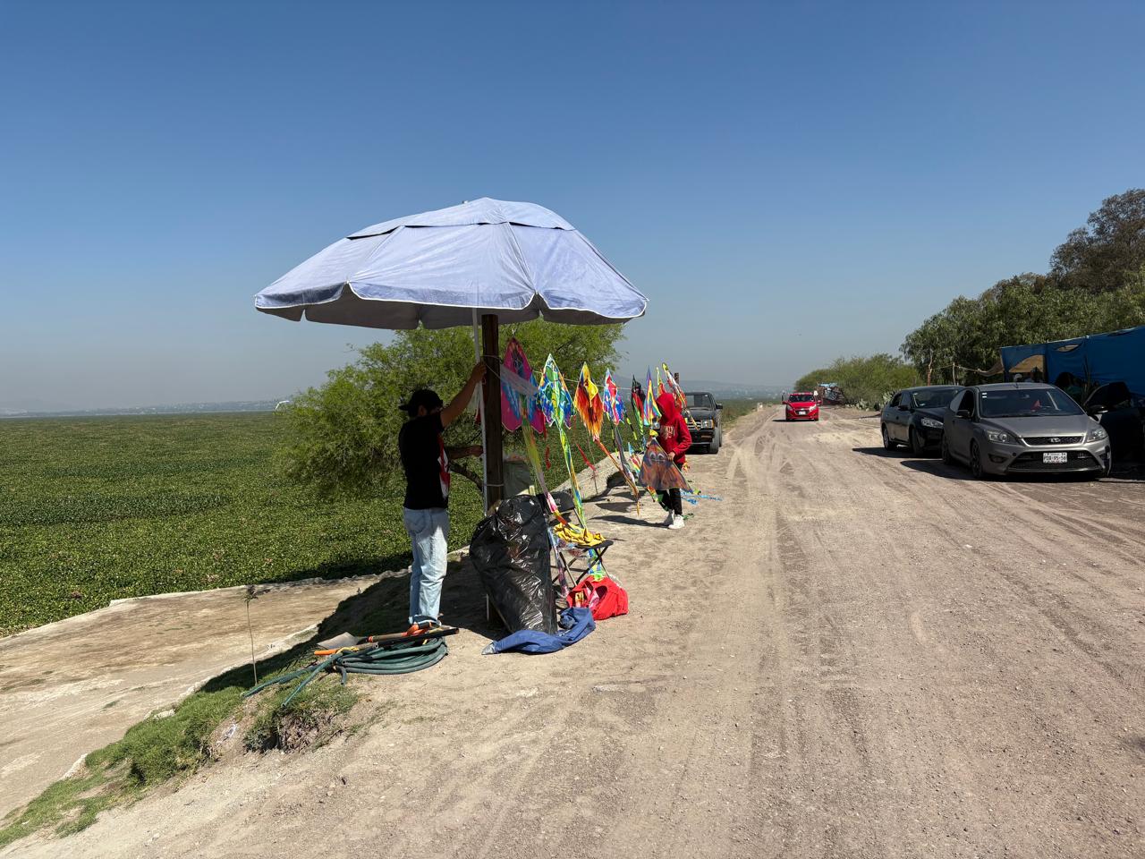 El lirio acuático ya ha invadido más del 50 por ciento del cuerpo de agua. Foto Arturo Contreras