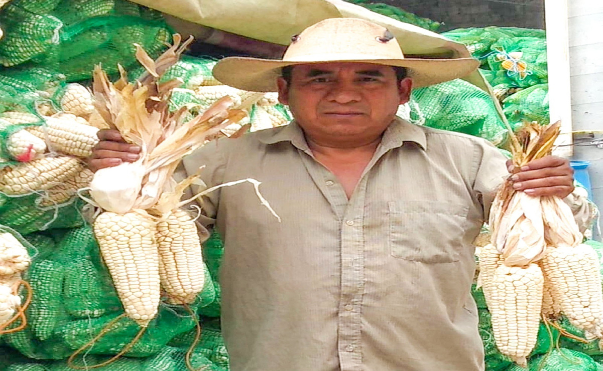 El Icamex reconoce a Juan Remigio como Guardián del Maíz del Estado de México. Foto: Especial
