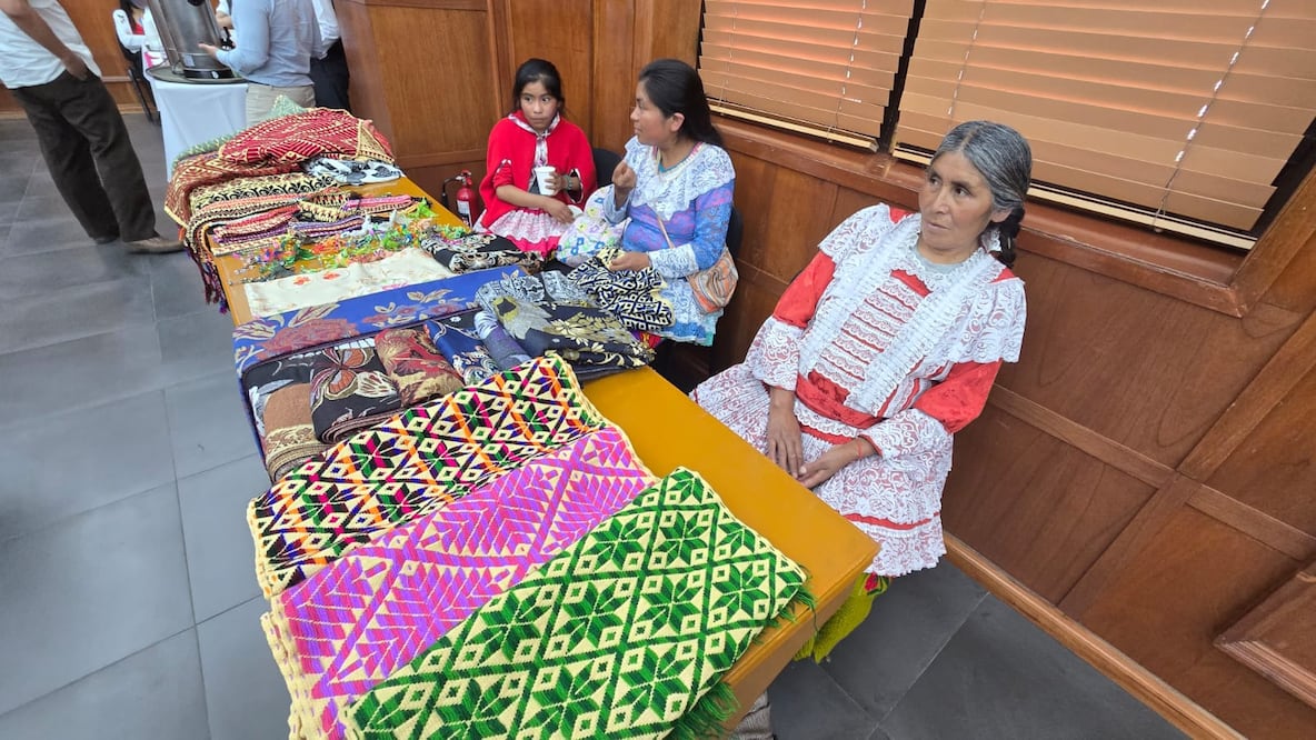 El diseño mazahua, símbolo de nuestra cultura, será el protagonista de la participación de México como país socio en FITUR 2026. Foto Especial