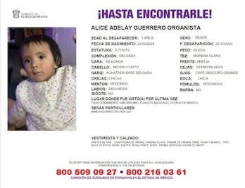 Activadas 4 Alertas Odisea en Izcalli; 4 bebés, entre ellas 3 hermanas, desaparecen tras remoción familiar