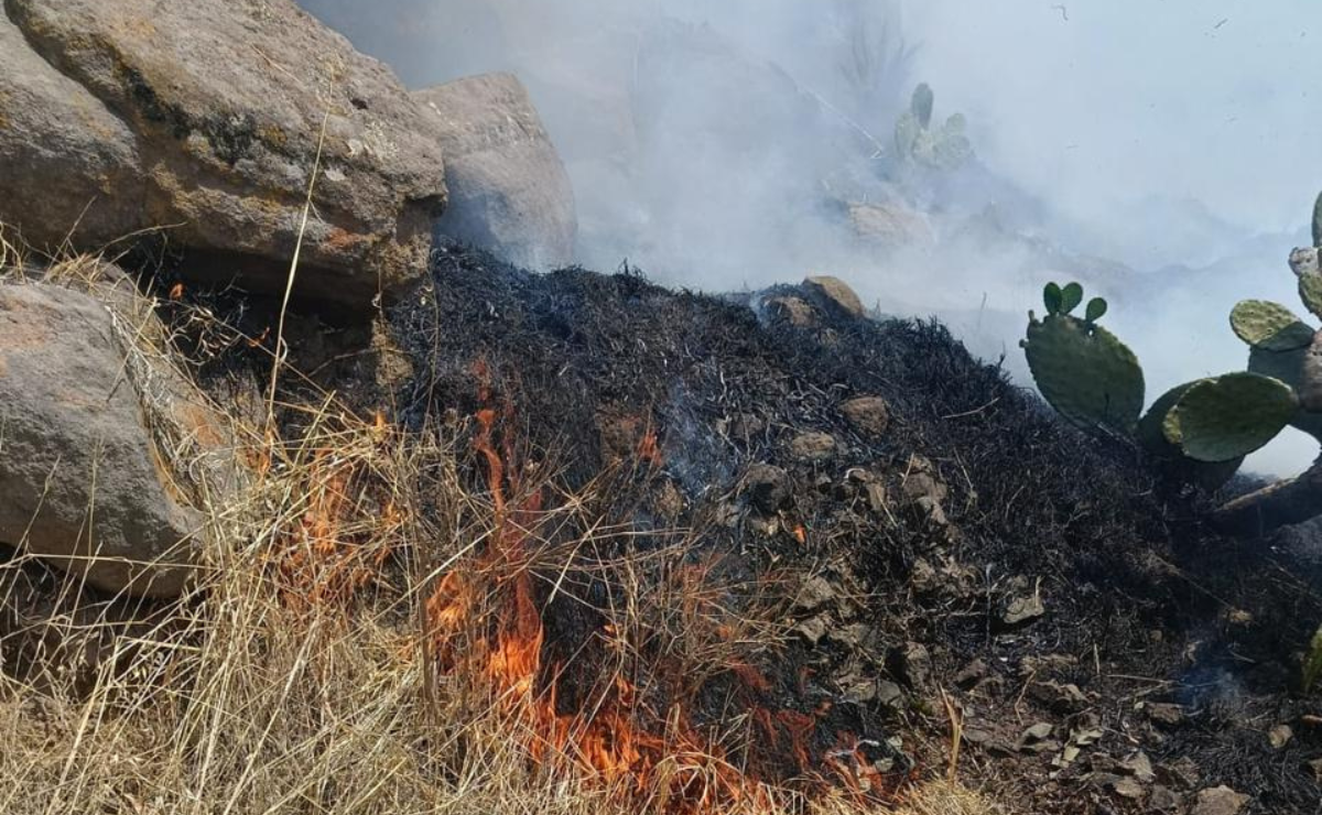 Incendio forestal afecta 15 hectáreas en Toluca; controlado por bomberos. Foto: Especial