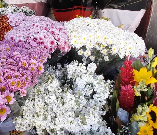 Día de Muertos 2025: Edomex proyecta derrama histórica de 3 mil millones de pesos