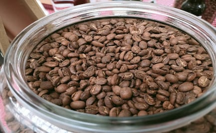 Un fin de semana lleno de aroma y sabor: ¡No faltes al Festival del café en Toluca!