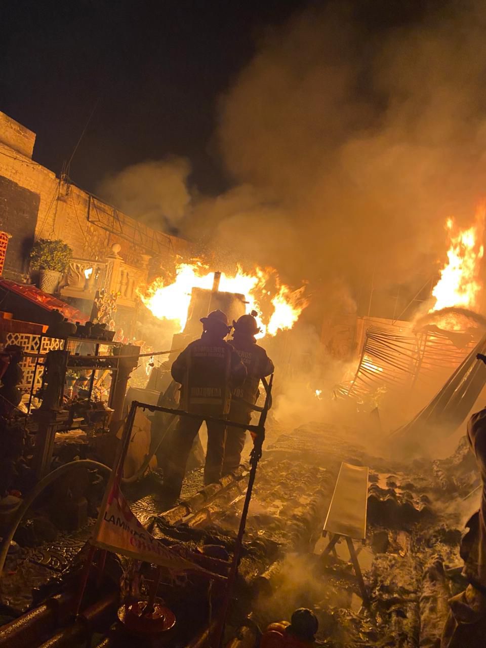 Los Bomberos rescataron a ocho tortugas / Foto Especial