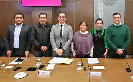 ¡Hasta 12 años de prisión a quien cometa ecocidio! Avanza propuesta en el Congreso local