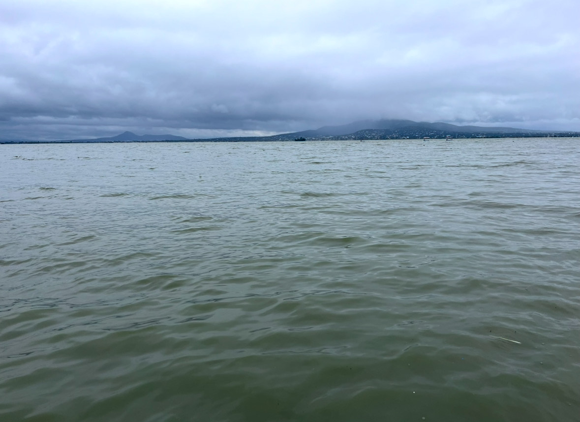 La contaminación y la falta de alimento retrasan el regreso de aves migratorias a la Laguna de Zumpango. Foto Arturo Contreras