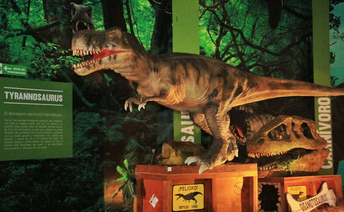 Por el momento, en el lugar se encuentran 8 dinosaurios animatrónicos. Foto: Especial