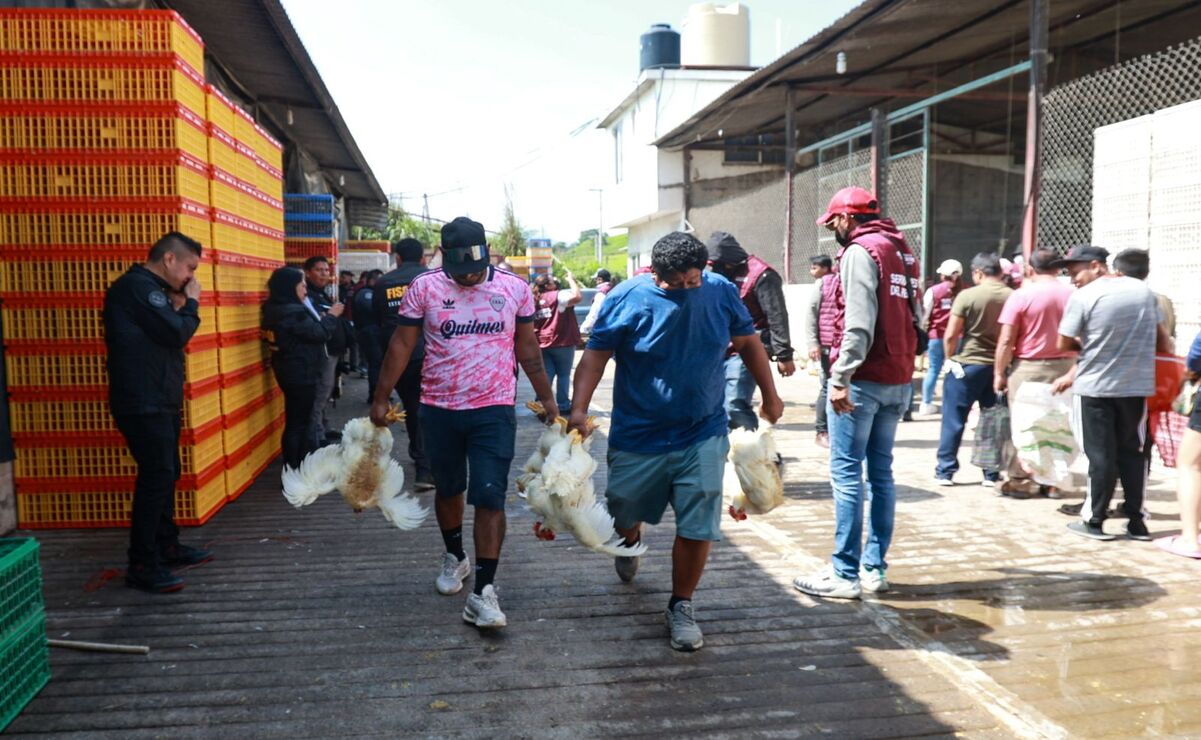 Los beneficiarios son pobladores de los municipios de Ixtapan de la Sal, Sultepec, Temascaltepec y Texcaltitlán / Foto Alejandro Vargas
