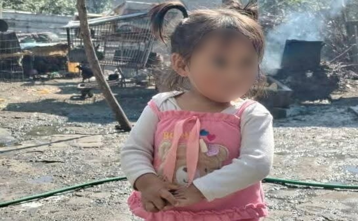Marely Victoria de 1 año 10 meses desapareció este sábado en Toluca. Foto: Especial