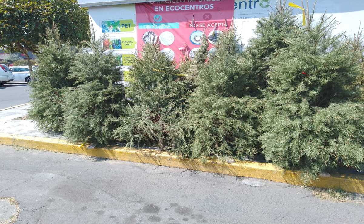 En Toluca se habilitaron 16 centros de acopio / Foto: Especial