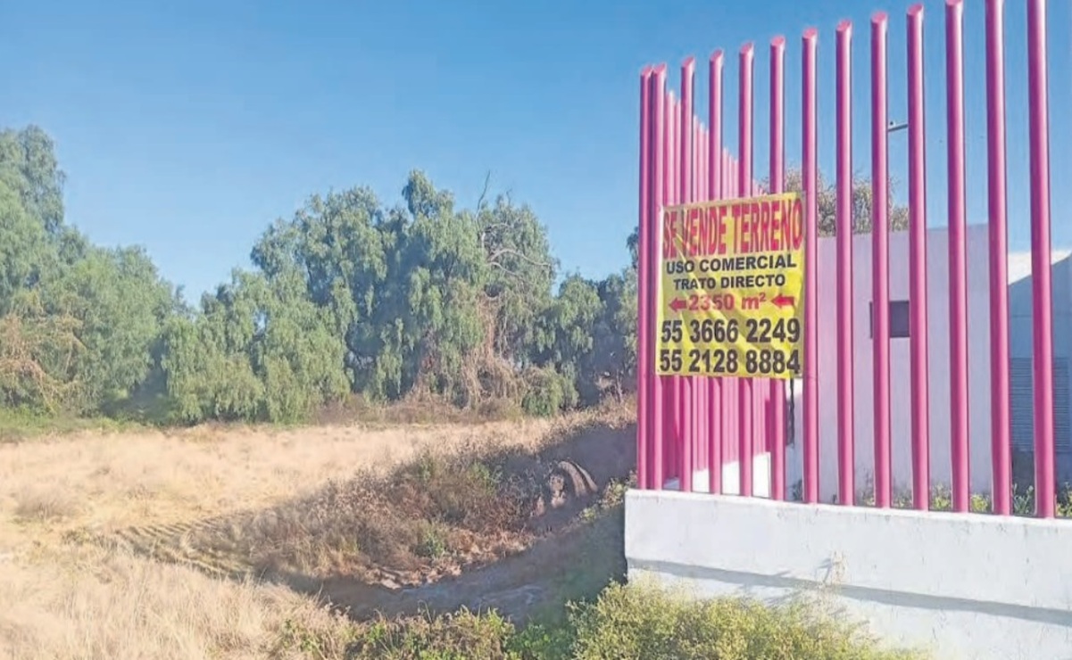 Rechazan venta de terrenos en la Laguna de Zumpango
