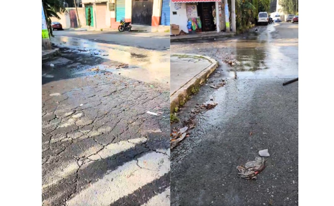 Fuga de agua lleva casi un mes sin ser atendida Foto: Arturo Contreras