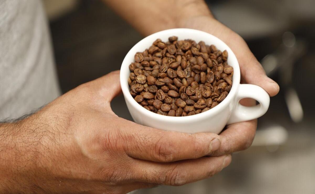 Este año, el café de Temascaltepec logró entrar al estricto mercado japonés / Foto Especial