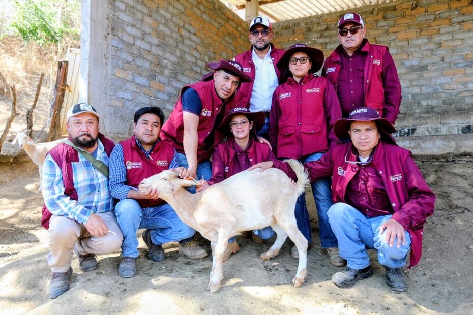 Brigadistas colocan trampas con atrayentes de feromonas diseñadas por la Dirección de Sanidad para frenar la reproducción de la mosca. Foto Especial