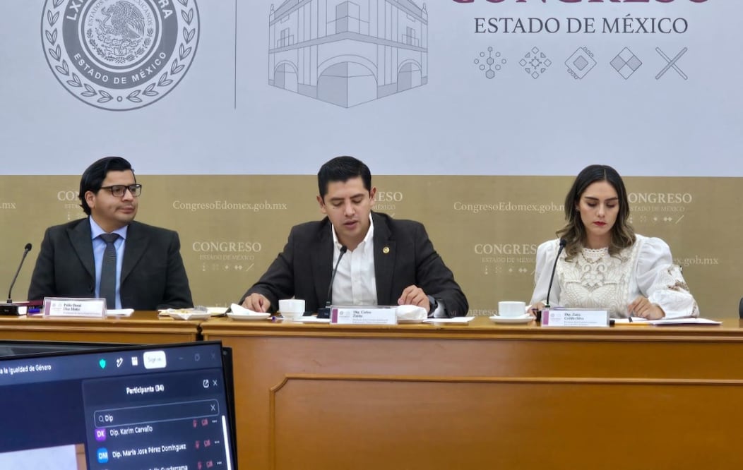 Pablo David Díaz Muñiz y Diego Tenorio Vargas explicaron que el primer paso de la iniciativa será consolidar el Consejo de Cuidados del Edomex. Foto Especial
