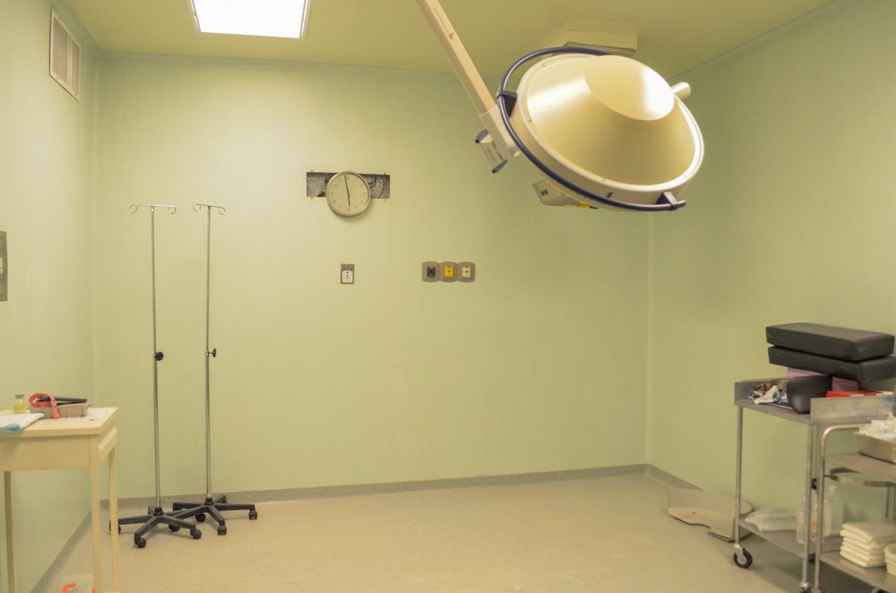 La titular de Salud precisó que se mantiene colaboración y coordinación con el IMSS-Bienestar para el fortalecimiento de la atención de los mexiquenses. Foto Especial
