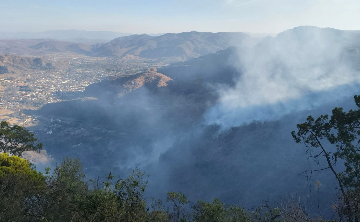 La Esperanza en llamas: la difícil tarea de controlar el incendio forestal en Ocuilan continúa. Foto: Especial