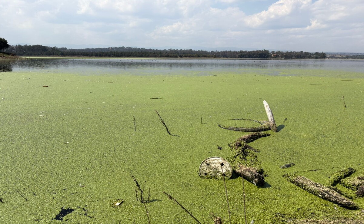 Lagos y ríos de Cuautitlán Izcalli están altamente contaminados por descargas de aguas residuales y basura. Foto Especial