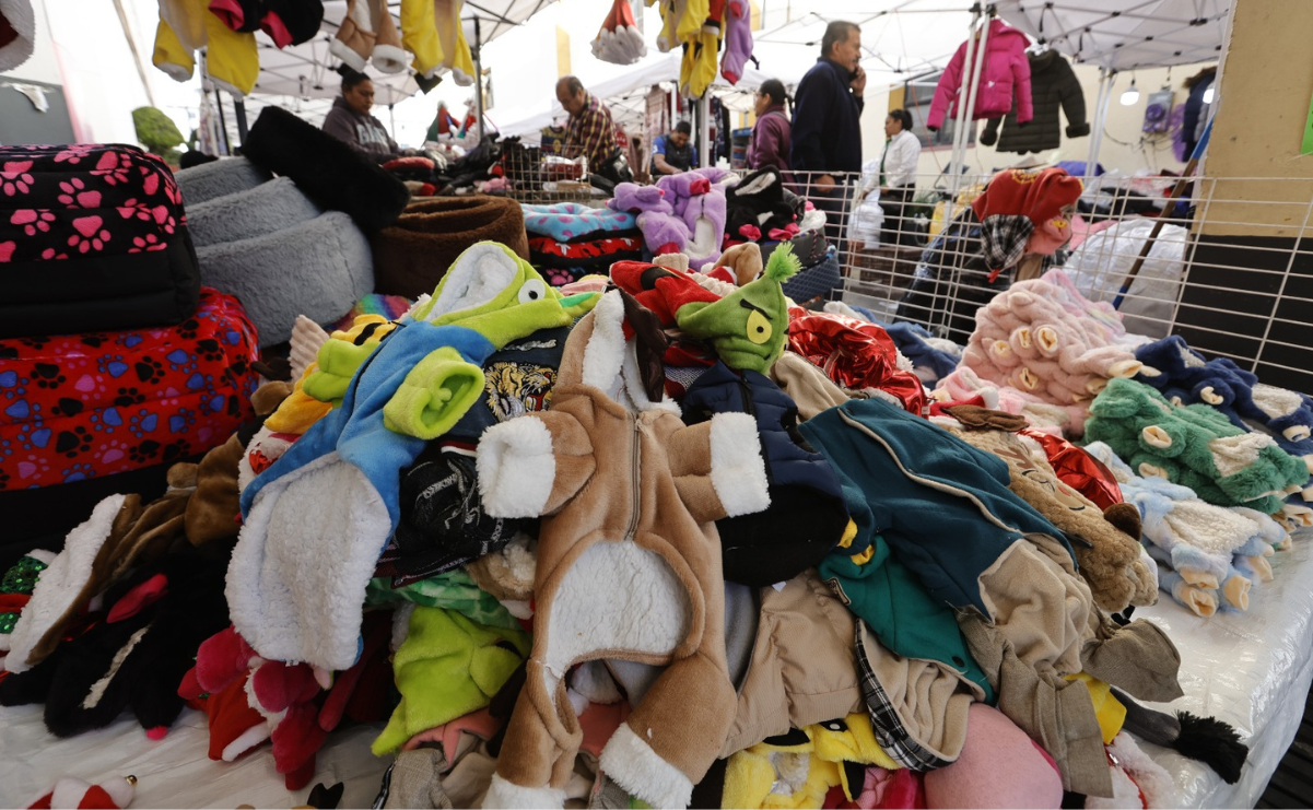 Productores de la zona norte de Toluca diseñan suéteres y trajes navideños para perritos y gatitos, disponibles en diversos negocios de la capital mexiquense / Foto: Especial