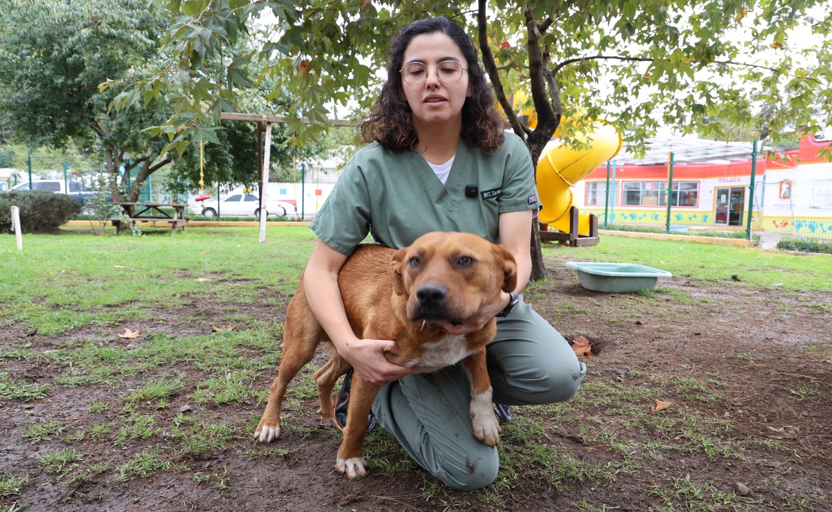 Carolina Torres Becerril, médica veterinaria y jefa del Departamento de Educación y Bienestar Animal del CCyBA / Foto Sergio García