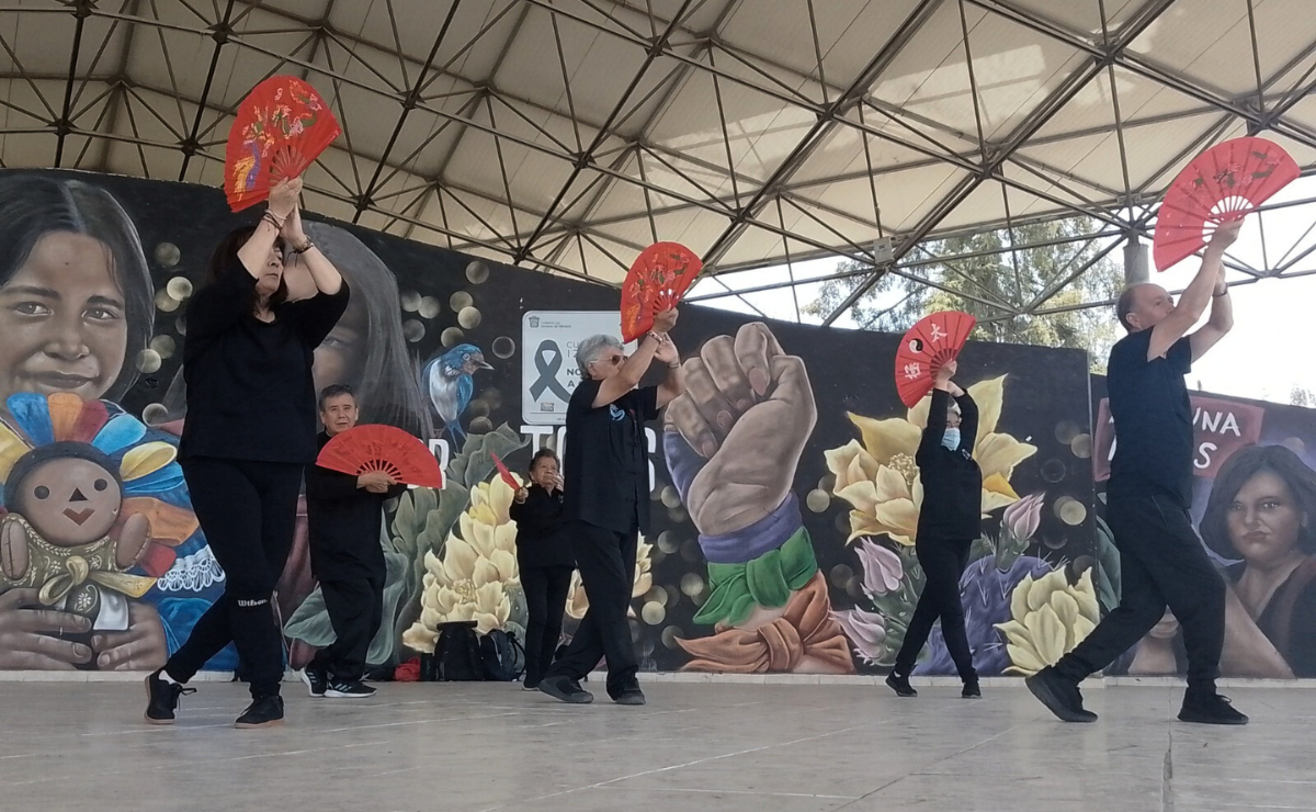 Adultos mayores en Cuautitlán Izcalli encuentran en el Tai Chi una vía para recuperar movilidad y equilibrio. Foto: Especial
