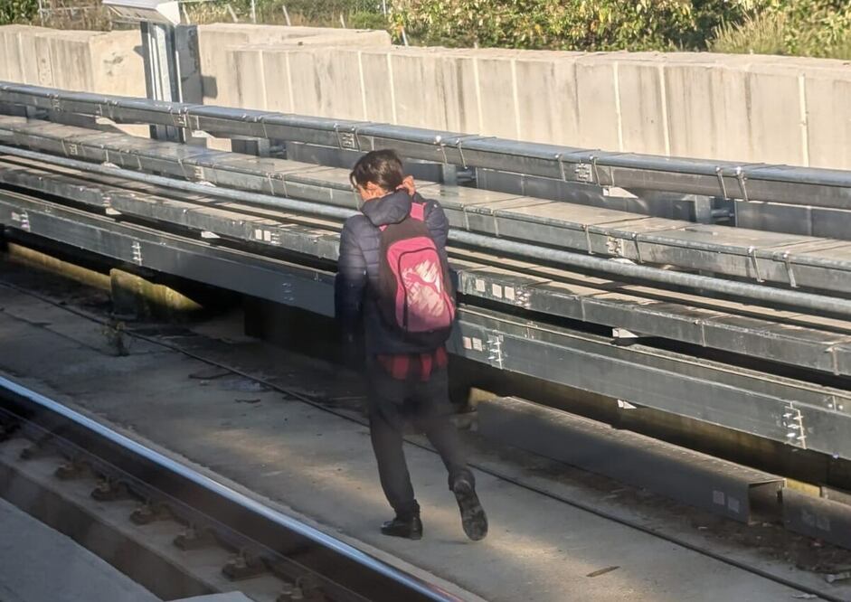 El tren se mantuvo detenido alrededor de 10 minutos / Foto Especial