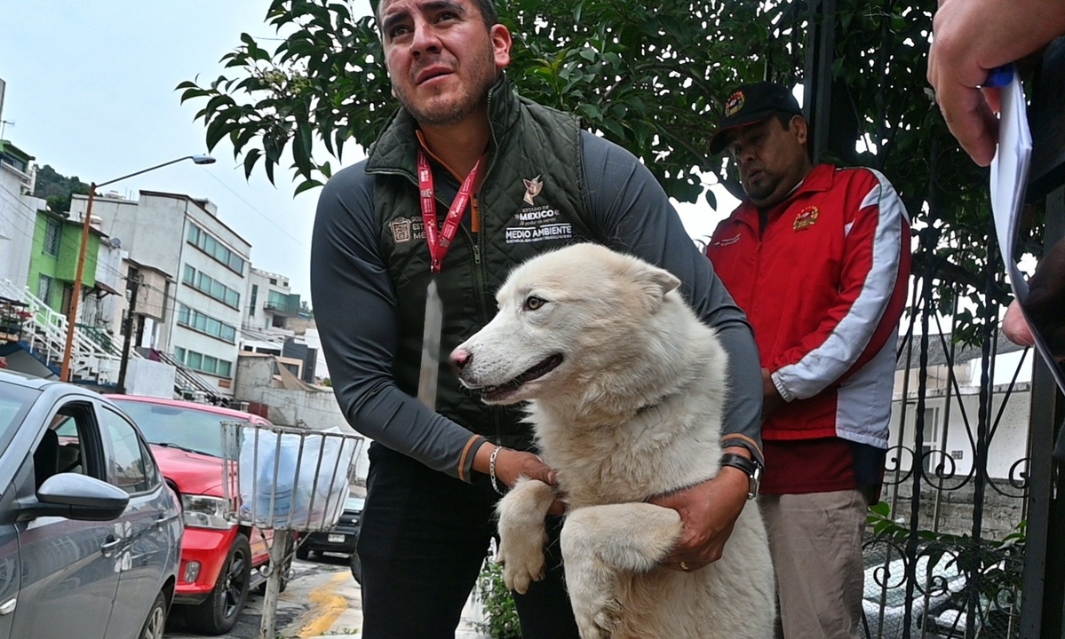 Rescatan a animales en situación de riesgo en Estado de México