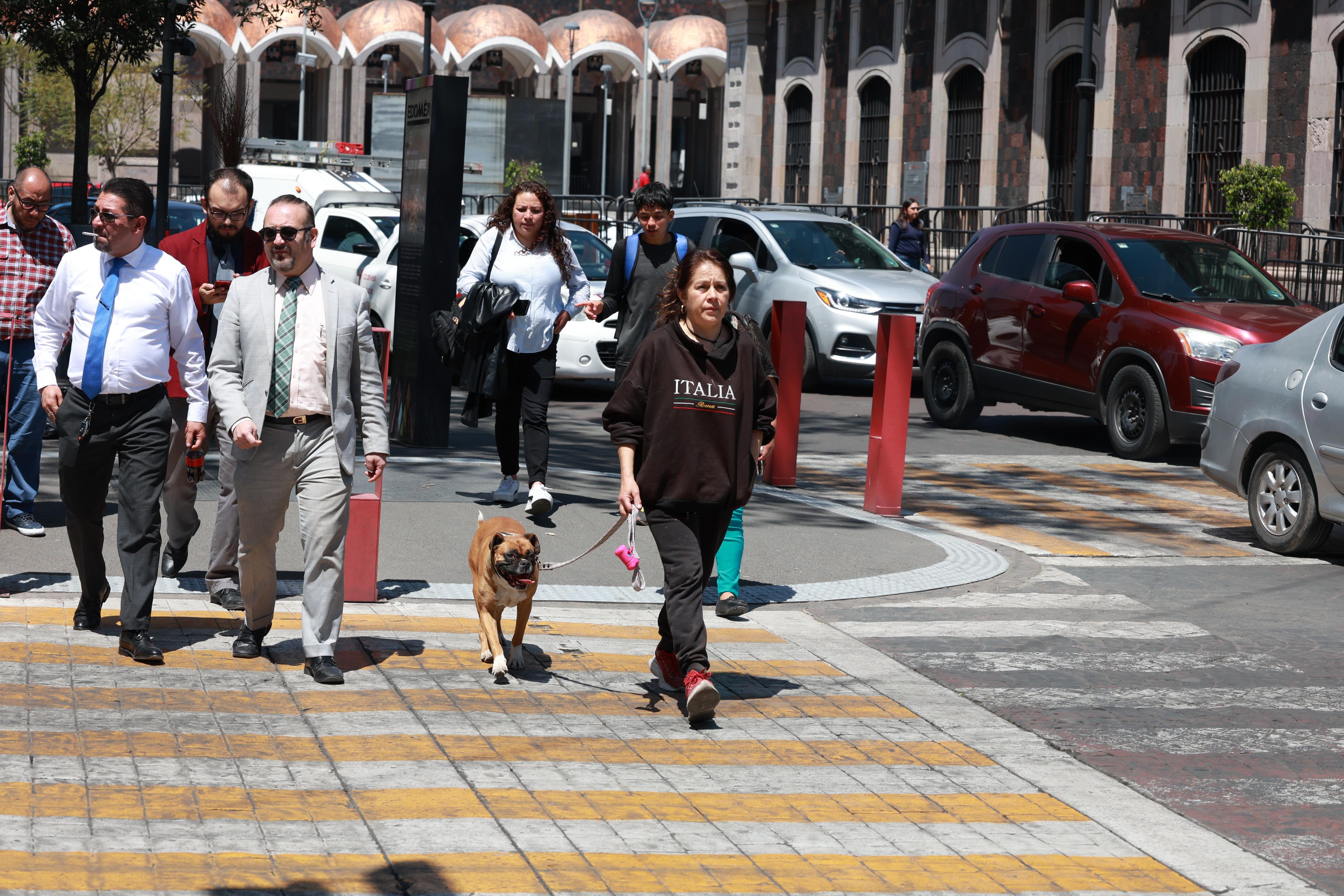 ¡Edomex más 'dog-friendly'! Quieren ley para que animales de asistencia entren a todos lados