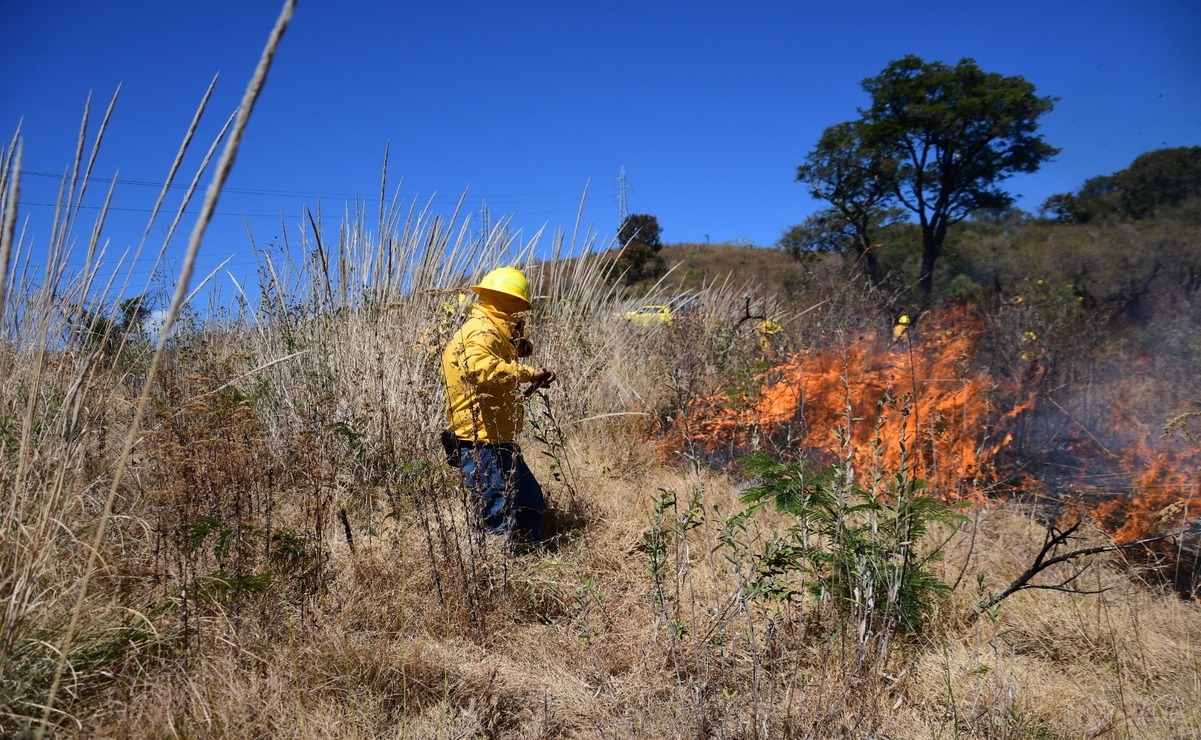 Probosque implementa un operativo para la detección y combate oportuno del fuego / Foto Especial