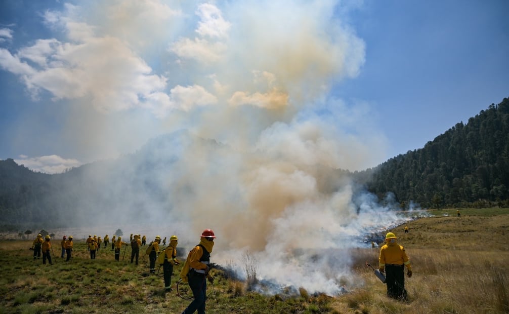 Los "Dragones" de Probosque mantienen vigilancia permanente para proteger los pulmones del Estado de México. Foto Especial