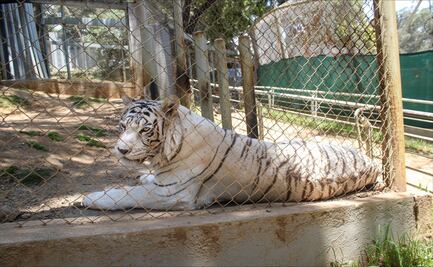 Parques naturales del Edomex reciben medio millón de visitas en cinco meses
