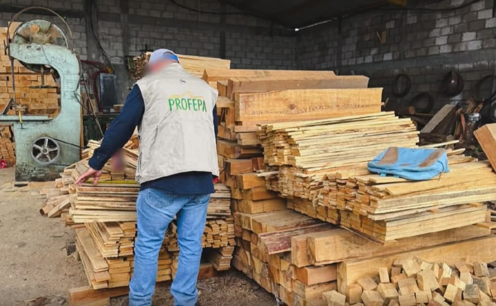 Más de 446 metros cúbicos de madera maderable de pino, oyamel y encino fueron asegurados al no acreditarse su legal procedencia. Foto Especial