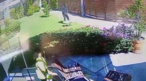 Video: ¡Huixquilucan en defensa de los animales! Investigan presunto caso de maltrato de perrito