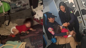 Rescatan a bebé encerrado en casa de cartón; padre salió a vender "fierro viejo" para comer