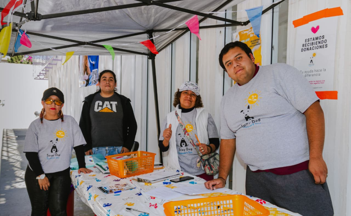 Un futuro con menos callejeros: Voluntarios y médicos de la UAEMex unieron fuerzas en Rayón para una exitosa campaña de esterilización y castración. Foto: Especial