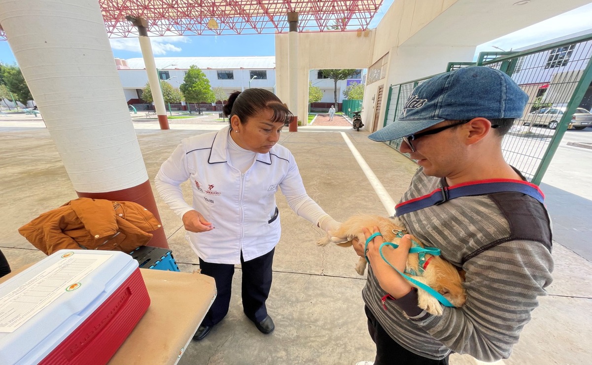 Inicia campaña de vacunación Antirrábica en Atlacomulco