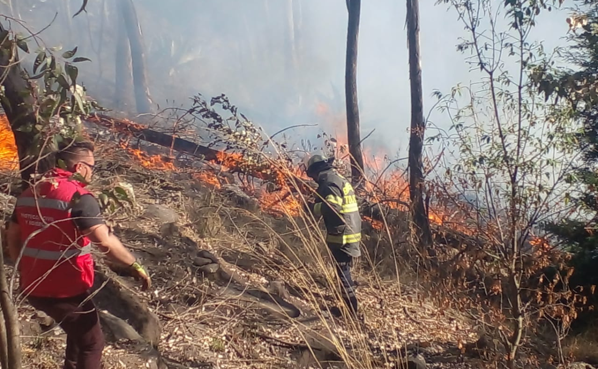 Bomberos de Toluca, con el apoyo del Ejército, lograron sofocar las llamas en La Teresona, evitando una tragedia mayor Foto: Especial