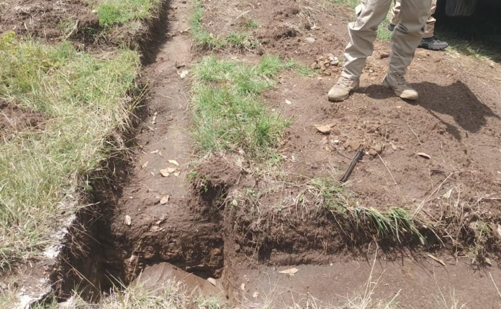En la zona afectada cerca de la Presa Lago de Guadalupe se detectaron decenas de árboles talados y marcados. Foto Especial
